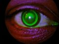 Thumbnail for version as of 23:05, November 25, 2011