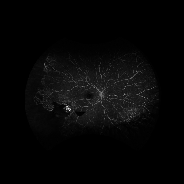 File:Fram image 2.jpg