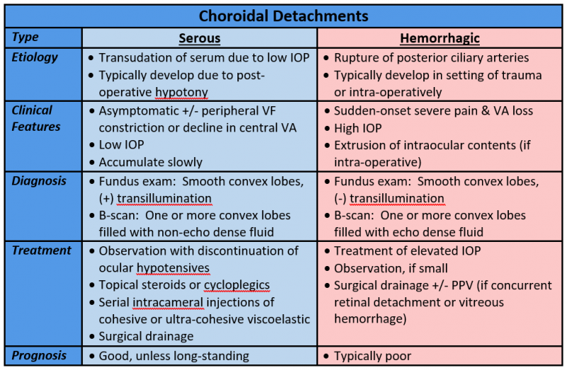 File:Choroidal detachments table.png