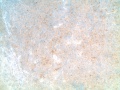 Thumbnail for version as of 22:06, June 9, 2015