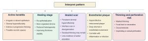 Interpretation for anterior segment optical coherence tomography(AS-OCT) in Keratitis..jpg