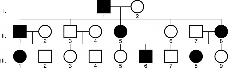 File:AA0 4501.jpg