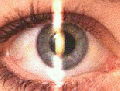 Thumbnail for version as of 14:34, June 11, 2010