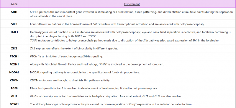 File:Genes involved - synophthalmia.png