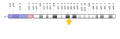 Thumbnail for version as of 07:38, September 29, 2017