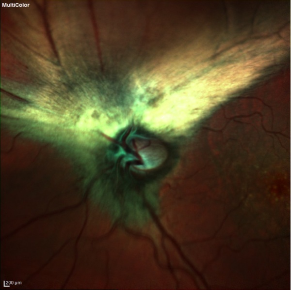 File:Mrnfl multicolor.jpg