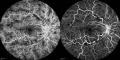 Thumbnail for version as of 01:08, November 28, 2012