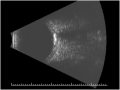 Thumbnail for version as of 19:32, December 1, 2010