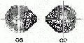 Thumbnail for version as of 12:12, March 22, 2011