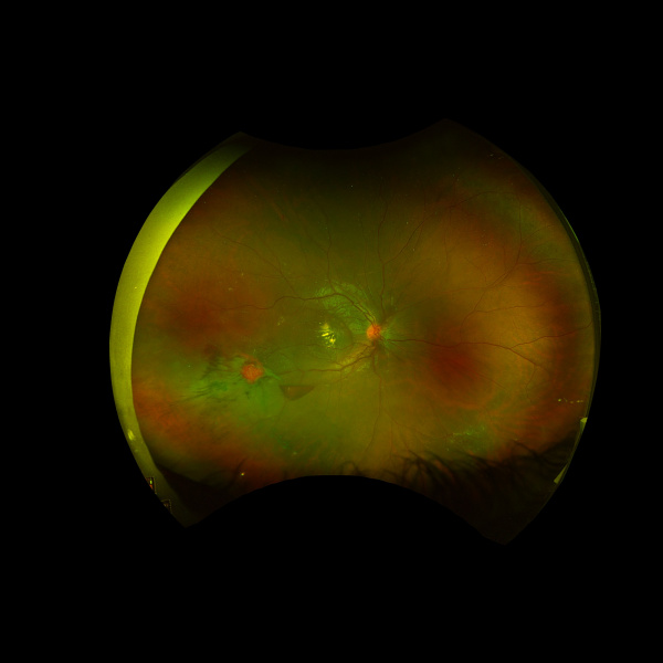 File:Fram image 1.jpg