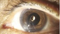 Thumbnail for version as of 03:40, May 11, 2020