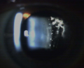 Thumbnail for version as of 15:17, January 26, 2014