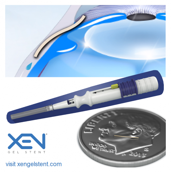 File:XEN gel stent.png