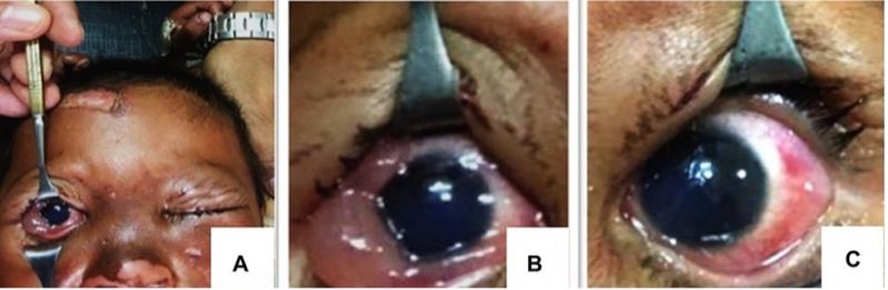File:Pradhan et al. (2020) .jpg