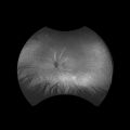 Thumbnail for version as of 07:58, August 7, 2021