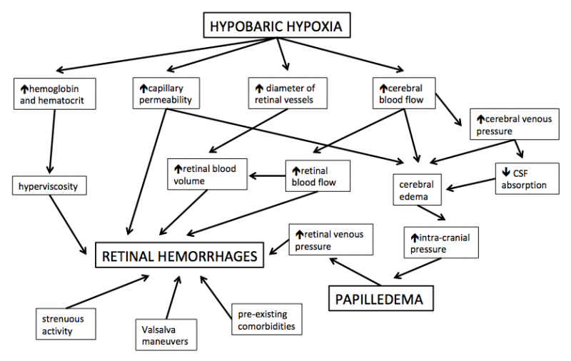 File:HAR flow diagram.png