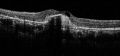 Thumbnail for version as of 00:14, October 14, 2023