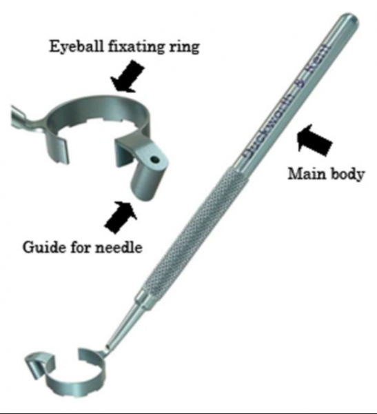 File:Doi-Umeatsu Intravitreal Injection Guide.png