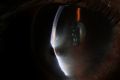 Thumbnail for version as of 13:12, June 28, 2026