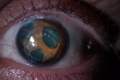 Thumbnail for version as of 08:39, June 5, 2012