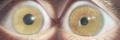 Thumbnail for version as of 11:07, November 26, 2019