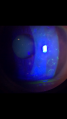 Thumbnail for version as of 18:45, January 10, 2020