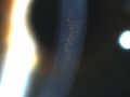 Thumbnail for version as of 19:20, June 29, 2010