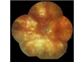 Thumbnail for version as of 11:54, June 17, 2012