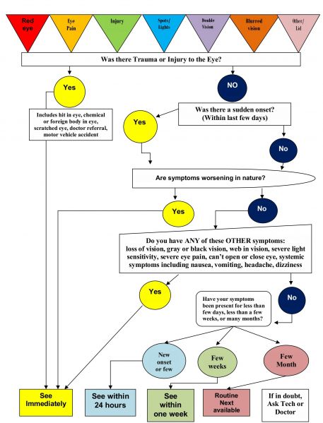 File:Ophthalmology Triage Flow Chart .jpg