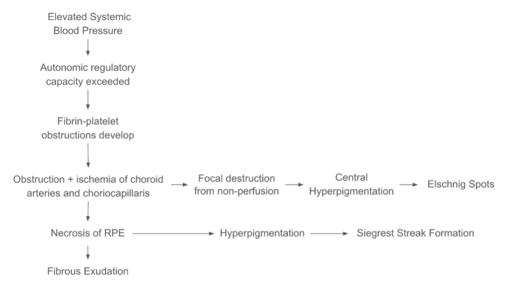 Figure 1. Pathophysiology of Siegrist Streaks and Elschnig Spots