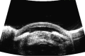 Thumbnail for version as of 08:30, December 24, 2021