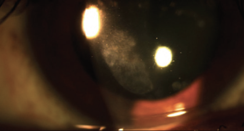 File:Screenshot 2023-05-29 at 4.48.36 AM.png