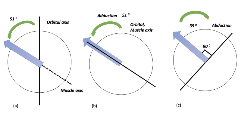File:FIG9.png