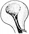 Thumbnail for version as of 11:06, October 24, 2013
