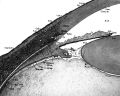 Thumbnail for version as of 13:44, May 31, 2026