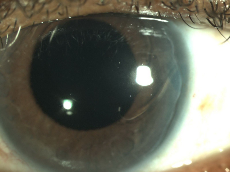 File:Haptic Out Zoom.jpg