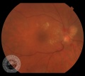 Thumbnail for version as of 14:11, December 1, 2012