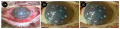 Thumbnail for version as of 20:46, March 8, 2023