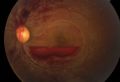 Thumbnail for version as of 18:58, May 13, 2021