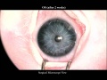 Thumbnail for version as of 11:36, April 12, 2012