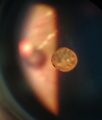 Thumbnail for version as of 00:16, November 16, 2020