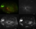 Thumbnail for version as of 17:16, November 29, 2013