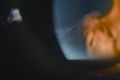 Thumbnail for version as of 17:49, July 6, 2022