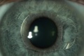 Thumbnail for version as of 11:35, February 23, 2011