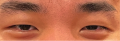 Thumbnail for version as of 12:36, December 8, 2021