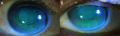 Thumbnail for version as of 23:00, November 10, 2020