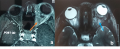Thumbnail for version as of 04:16, June 1, 2021