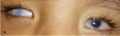 Thumbnail for version as of 11:49, January 14, 2023
